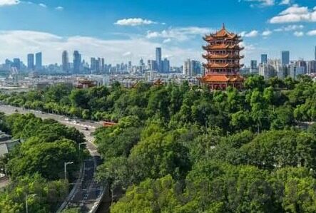 91麻豆精品视频在线观看-深入了解91麻豆精品视频，网络世界的视觉盛宴与影响剖析