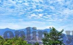 大象回家视频在线观看-探索自然奇迹，大象回家之旅的温馨瞬间