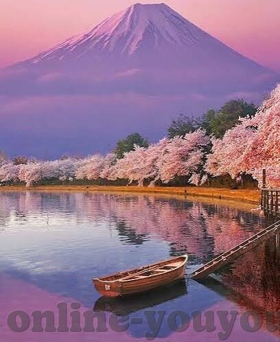 果冻传媒高清在线-探索果冻传媒高清在线的魅力，一场视觉与体验的盛宴