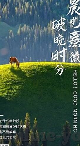 麻豆av午夜精品-麻豆AV午夜精品，一个值得深入思考的成人娱乐世界