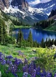 麻豆视频下载苹果-麻豆视频下载，苹果设备上的视听盛宴