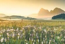 免费视频麻豆免费-免费视频麻豆之旅——解锁创意与共享的社交新风尚