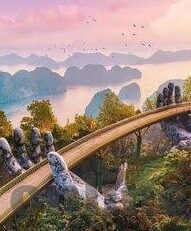 青青草成人在线观看视频-青青草，成人内容平台与网络伦理的边界