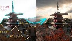 糖心vlog官网ios入口-遭遇甜蜜陷阱，探索糖心vlog官网在iOS平台上的神秘一角