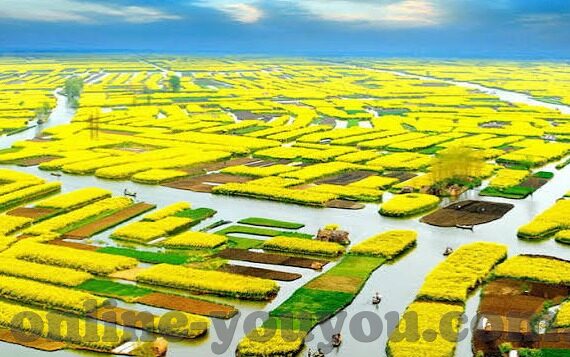 亚洲国产精品一区二区www-探索亚洲文化多样性的独特视角，从艺术与生活的交融谈起